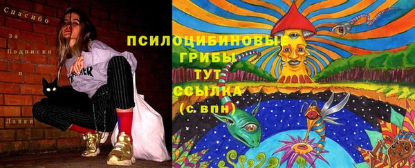 мет Гусев