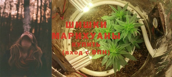 мет Гусев