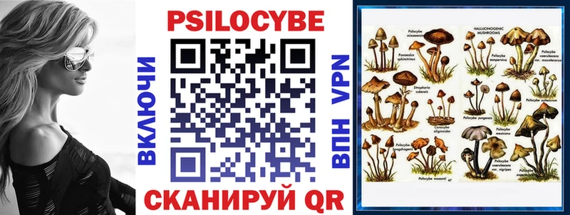 Псилоцибиновые грибы Psilocybine cubensis  Печоры 